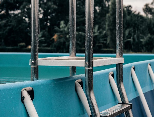Découvrez les Meilleurs Engrais Naturels pour un Potager Bio Florissant !