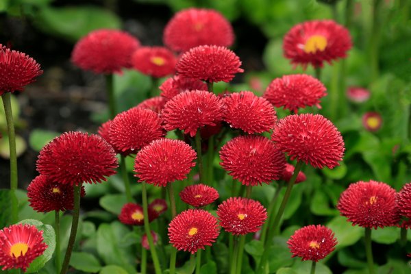 L'Ascension du Mobilier Design : Voyage à Travers ses Origines jusqu'à Aujourd'hui